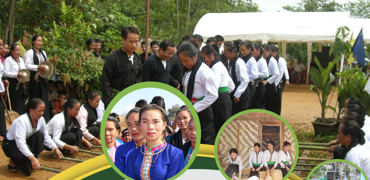 ປະຫວັດຄວາມເປັນມາຂອງຊົນເຜົ່າໄຕ